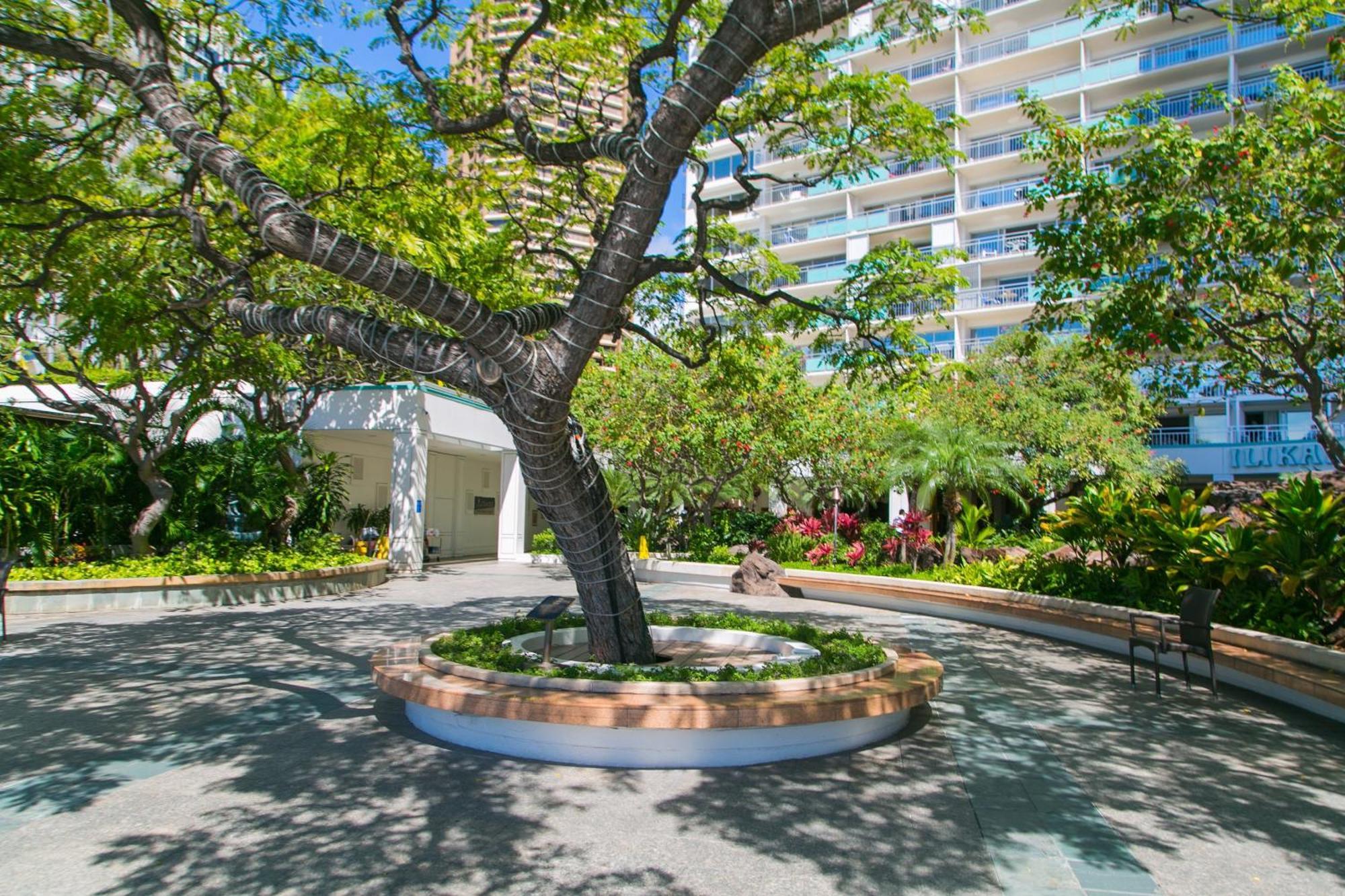 Ilikai Tower 931 Yacht Harbor View 1Br Lejlighed Honolulu Eksteriør billede